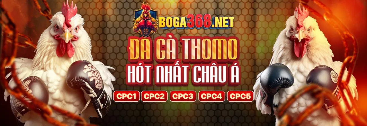 Đá Gà Trực Tuyến cdbet đăng ký